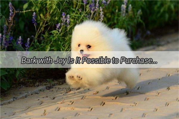 Bark with Joy Is It Possible to Purchase a Dog Through Online Rescues and Breeders Find Out Now